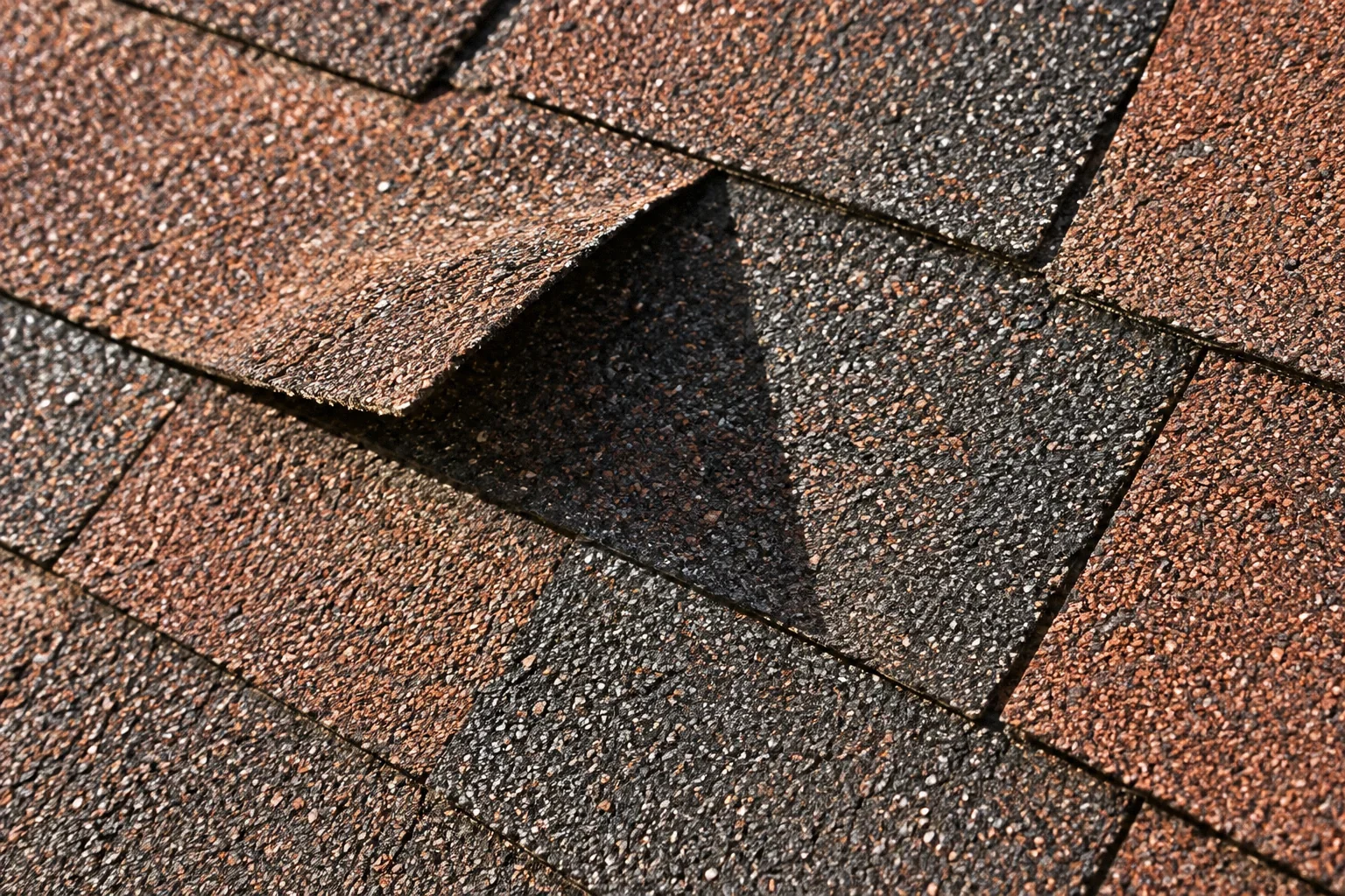 A single lifted asphalt shingle corner casting a crisp triangular shadow over neighboring shingles.